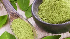 Moringa olifeira : une ressource naturelle aux multiples vertus