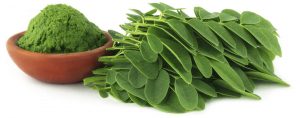 Bénin: Le Moringa pour venir à bout de la malnutrition infantile