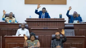 Protection du patrimoine culturel au Bénin : les députés votent à l’unanimité la loi