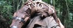 Gabon : découverte d’une nouvelle espèce de crocodiles bloqués dans une grotte depuis 3000 ans