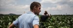 Afrique du sud : la province la plus peuplée va exproprier les fermiers blancs