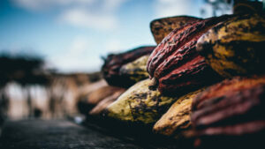Cacao : la Côte d'Ivoire et le Ghana s'insurgent contre deux compagnies américaines