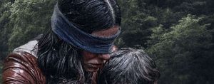 Bird box challenge : malgré l'avertissement de Netflix, une ado provoque un accident