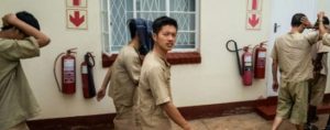 1 million $ de cornes de rhinocéros : 7 Chinois devant la justice zimbabwéenne