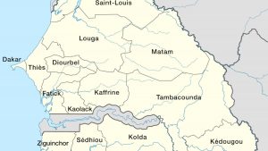 Sénégal : Progression inquiétante de la fièvre de la Vallée, 8 décès à Saint-Louis