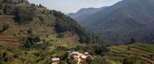 Touriste américaine enlevée en Ouganda : une rançon demandée