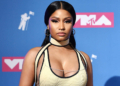 Nicki Minaj : son mari condamné à un an de détention à domicile