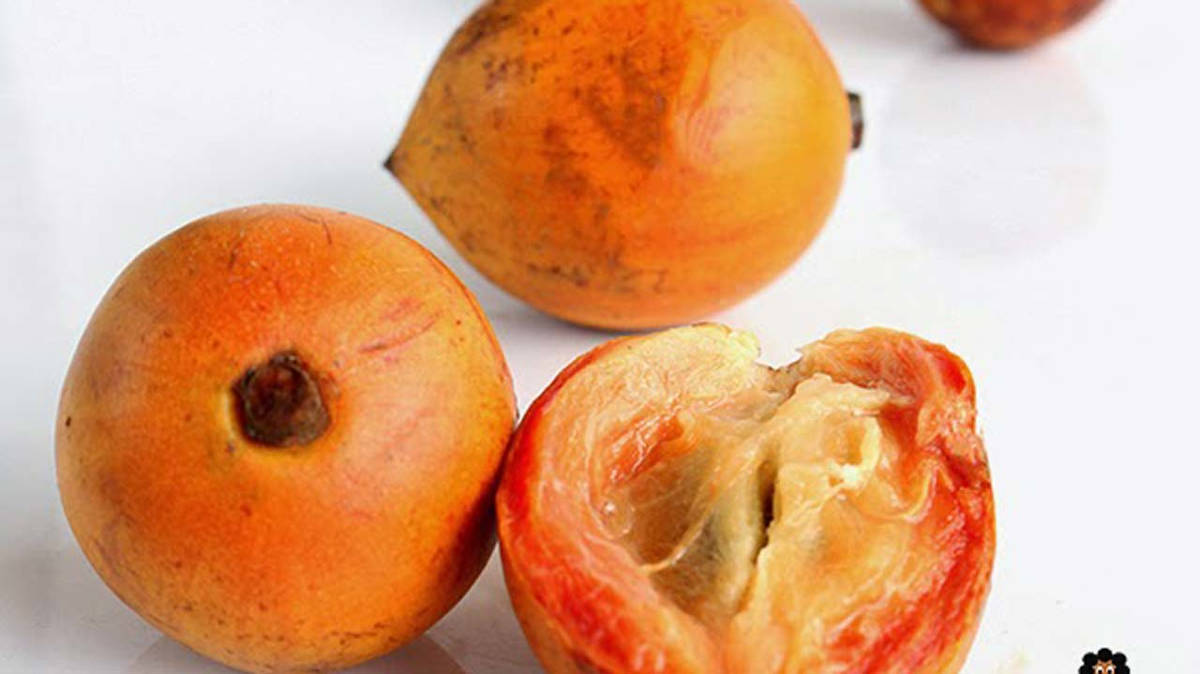 Azongogoé ou African star apple : un fruit pas comme les autres