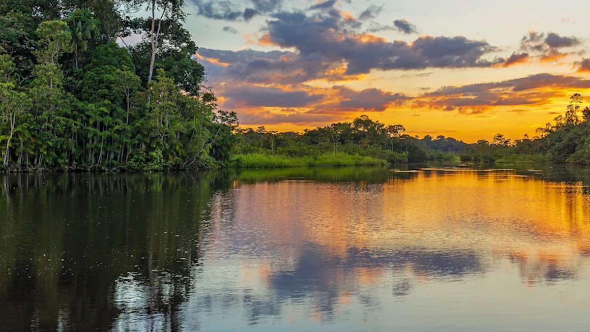 L’incroyable histoire de la famille qui a survécu un mois, perdue en Amazonie