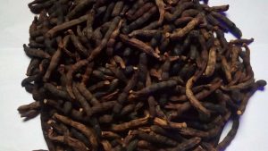 12 usages puissants du poivre de guinée