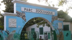 Incident au parc forestier de Hann (Dakar) : le directeur du zoo livre sa version