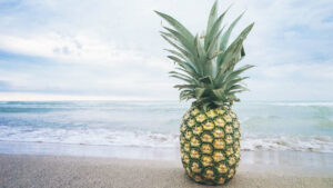 L'ananas béninois fait une entrée remarquable sur le marché chinois
