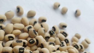 Le niébé (haricot), cette remarquable légumineuse unique en son genre
