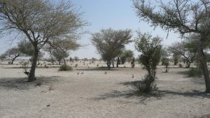 Le PAM alarmé par la crise au Sahel alors que le Covid-19 se propage