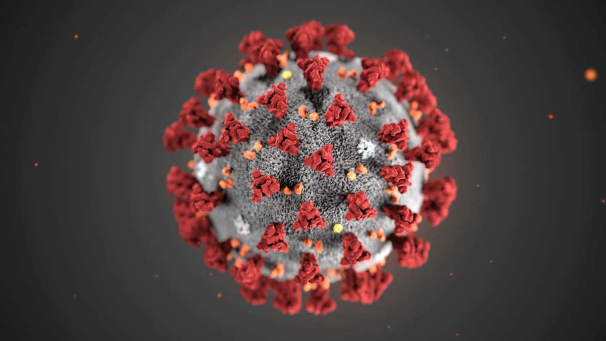 Le coronavirus ne résisterait pas face aux UV du soleil, mais...