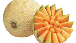 Cucumis melo, le melon à la pulpe sucrée