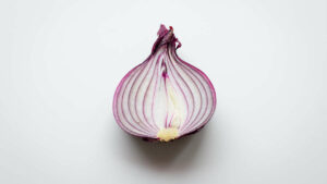 Allium cepa, ce bulbe d’oignon extraordinaire