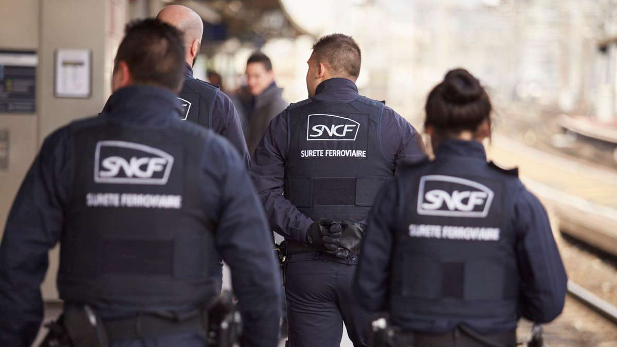 France : Une femme noire enceinte violentée par des agents SNCF (vidéo)