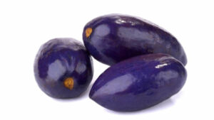 Prunier africain, Pygeum africanum, une espèce thérapeutique puissante mais, menacée