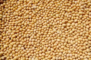 Imposition de fiche de convoyage aux producteurs de Soja: Une mesure très mal appréciée par divers acteurs