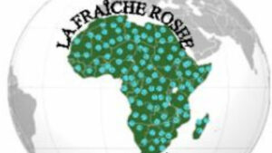 Bénin :  appel à générosité pour une opération à la tête de la petite Larrisa Rose HOUNVENOU