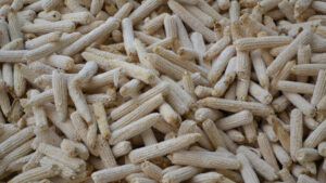 Les incroyables impacts biologiques des rafles de maïs