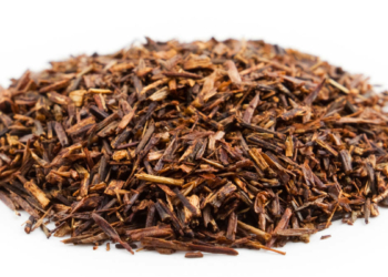 Rooibos (Photo DR)