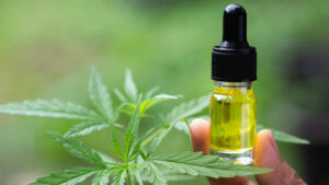 Douleurs menstruelles : le CBD est-il efficace ?