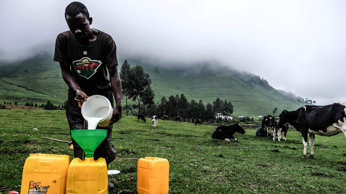 Les traditions laitières africaines : un héritage toujours en forte demande