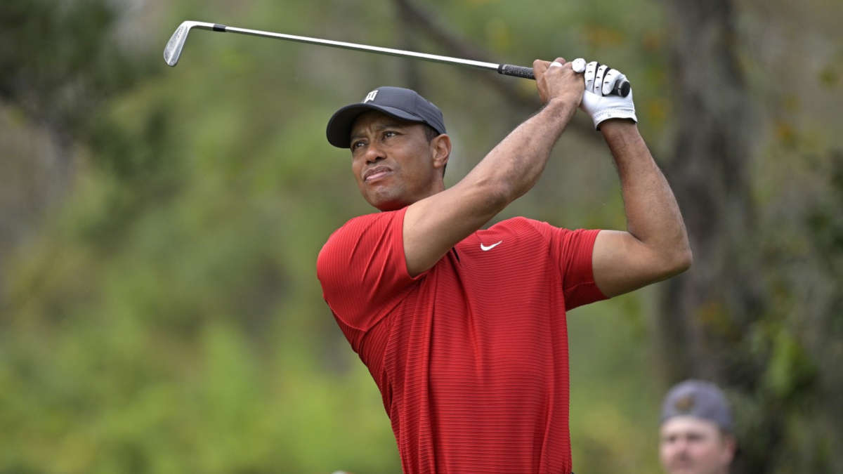 Tiger Woods (Phelan M. Ebenhack / Associated Press)