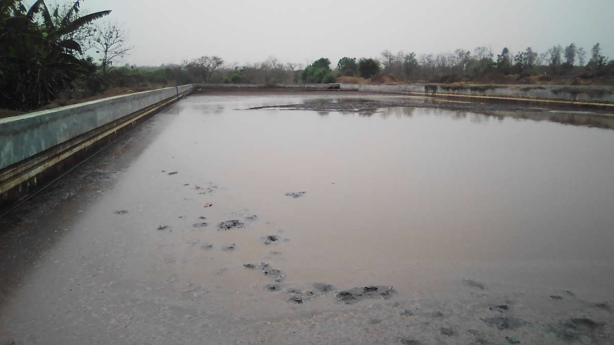 (ENQUETE) Pollution de la rivière Klou à Logozohè : un scandale environnemental passé sous silence