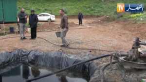 Il découvre du pétrole en cherchant de l’eau sur sa ferme en Algérie