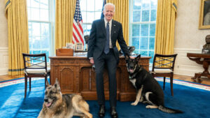 Maison-Blanche : un des chiens de Biden mord un employé d'un parc