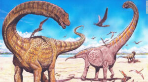 « Natovenator polydontus » : un dinosaure ayant l'apparence d'un canard découvert