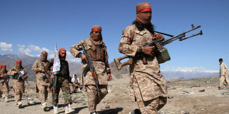 Des combattants talibans (Wali Sabawoon/NurPhoto/Getty Images)