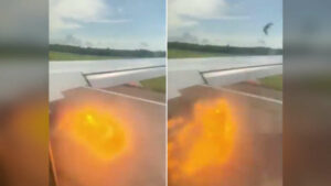 Un avion de ligne heurte des oiseaux, plusieurs explosions (vidéo)
