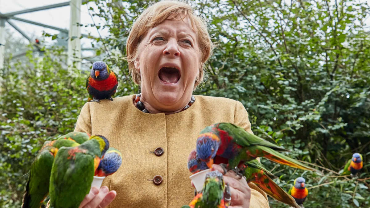 Cette photo de Merkel hurlant de peur dans un zoo amuse les internautes
