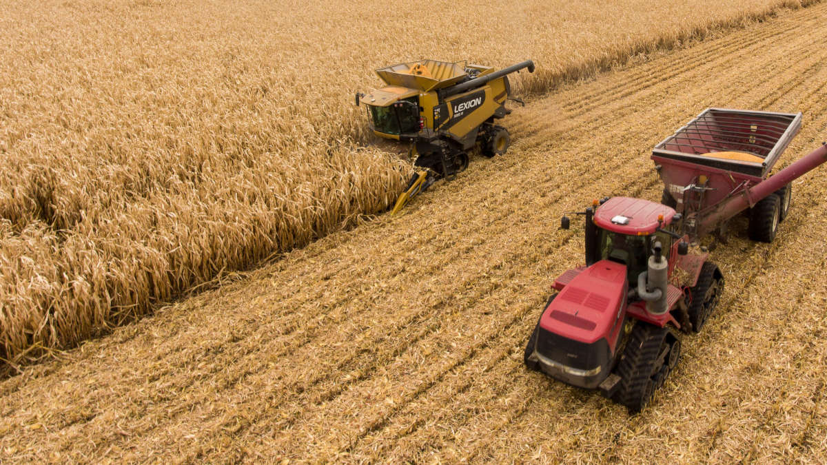 Avec 1/4 des exportations, la Russie domine le marché du blé mondial