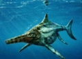 Ichtyosaure : Le fossile de trois poissons géants découverts en Suisse