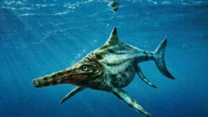 Ichtyosaure&nbsp;: Le fossile de trois poissons géants découverts en Suisse