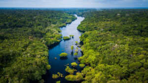 La COP15 à Montréal signe un accord mondial sur la sauvegarde de la biodiversité