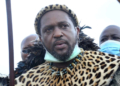 Afrique du Sud: le nouveau roi des Zoulous intronisé