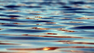 Maghreb: une révolution dans la gestion de l’Eau se prépare dans ce pays