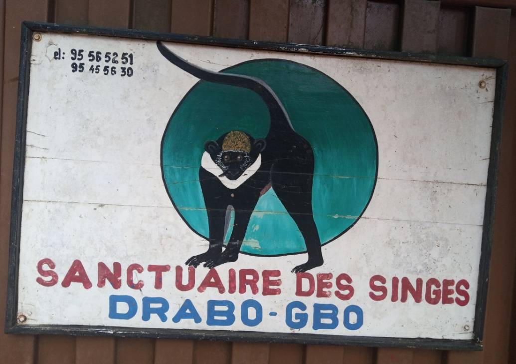Gestion des forêts au Bénin : Bienvenue au Sanctuaire des Singes de Drabo