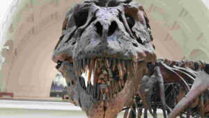 Dinosaure