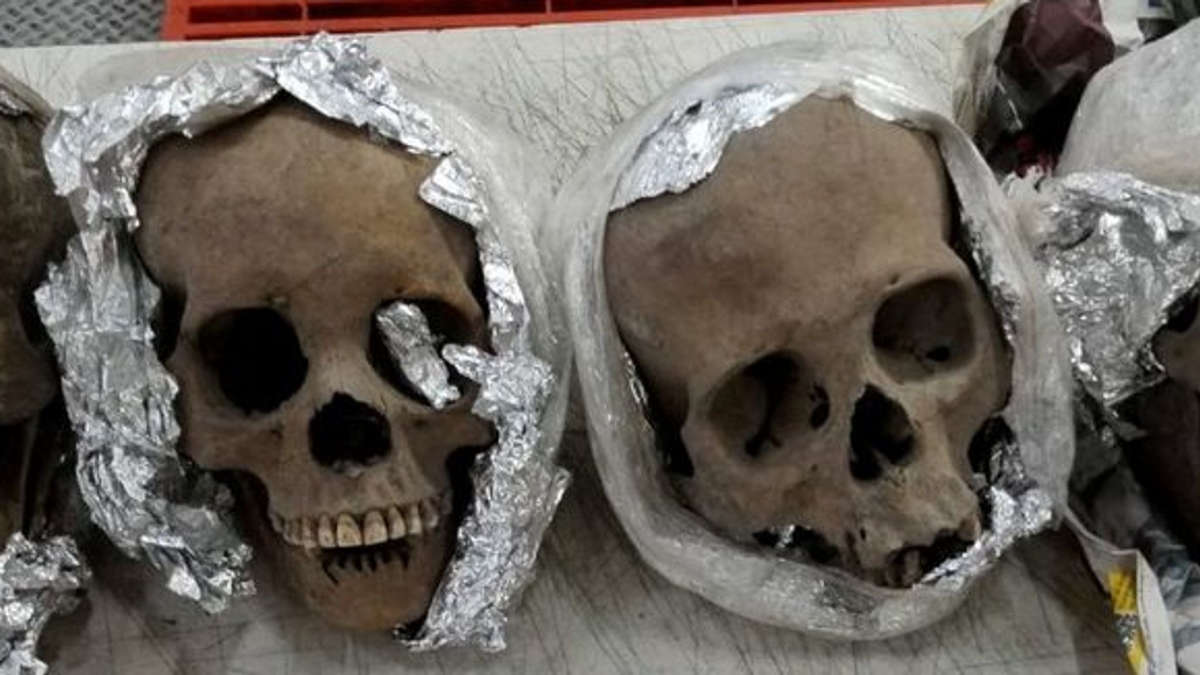 Des crânes humains découverts emballés dans un aéroport