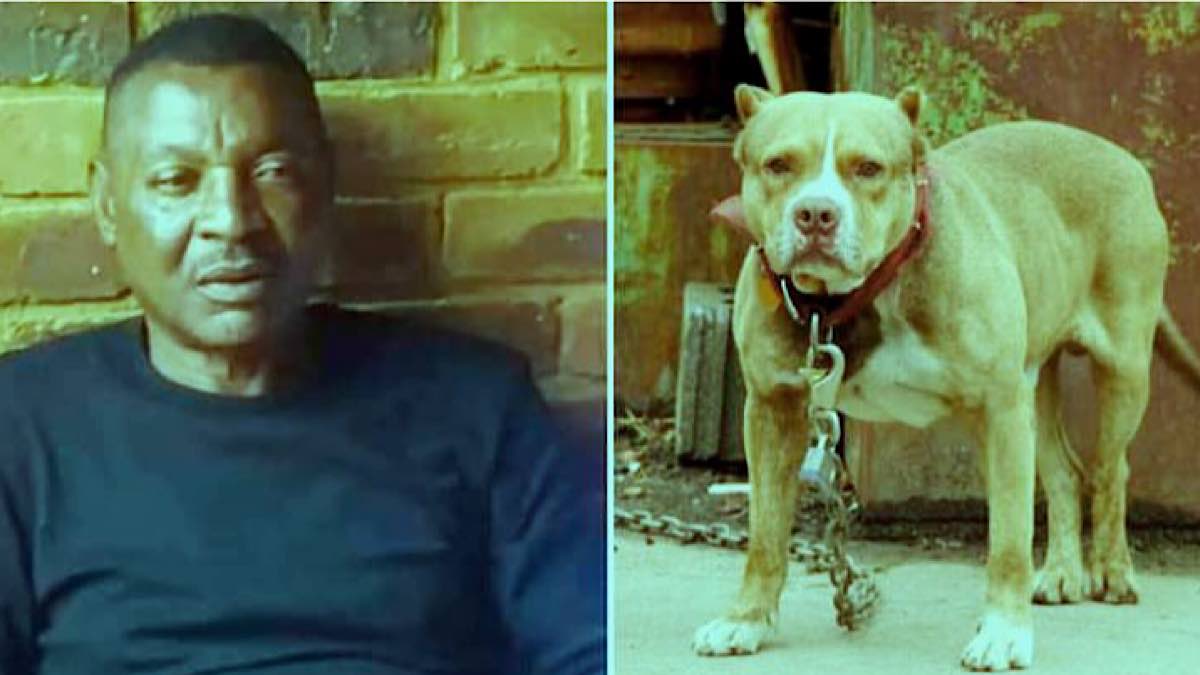 Philemon Mulala, ex-footballeur zambien meurt, attaqué par ses chiens – La  Nouvelle Tribune