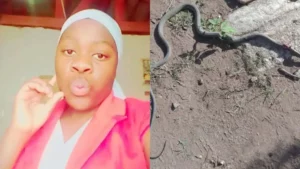 Un mamba noir mord une élève (en classe) qui meurt