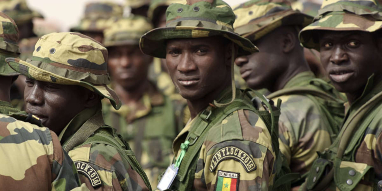 Armée sénégalaise (© SEYLLOU/AFP)