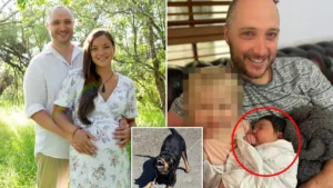 Deux chiens tuent un bébé de 5 semaines en Australie